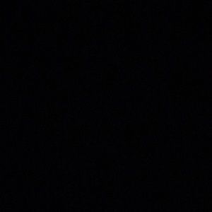 Meet your Posher, Ryder